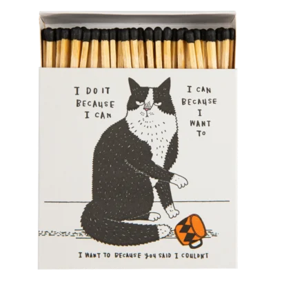 Boite Grandes Allumettes - I Do It Because I Can