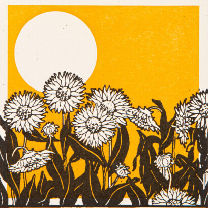 Boite Grandes Allumettes - Sunflower Fields